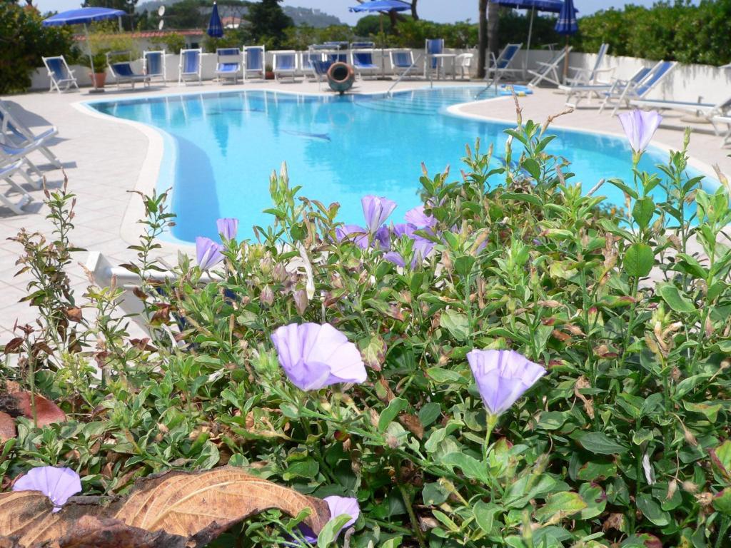 Hotel Parco Conte كازاميتْشيولا تيرمي المظهر الخارجي الصورة