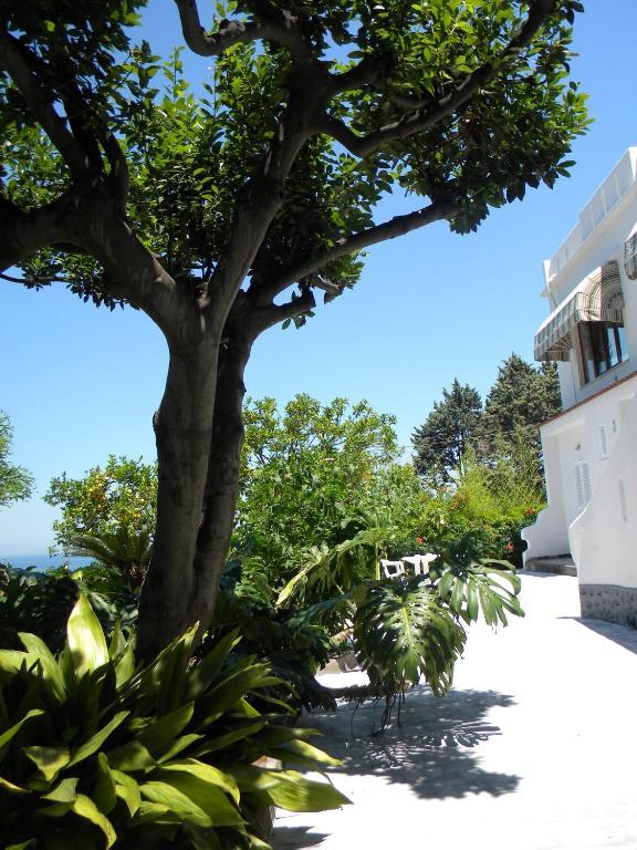 Hotel Parco Conte كازاميتْشيولا تيرمي المظهر الخارجي الصورة